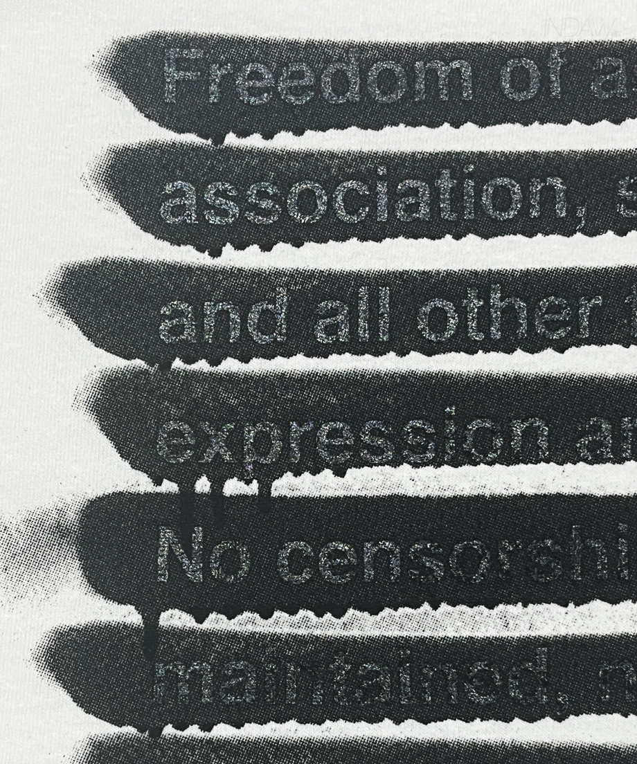 INDAW-ARTICLE-21-blackout-Speech_5